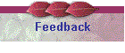 Feedback