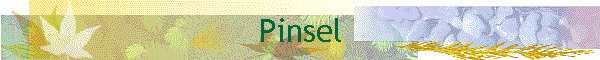 Pinsel